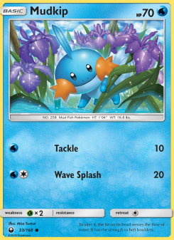 Mudkip - pokemon TCG Card