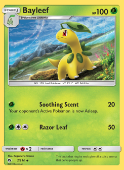Bayleef - pokemon TCG Card