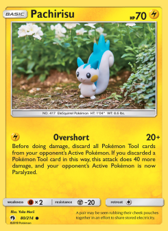 Pachirisu - pokemon TCG Card