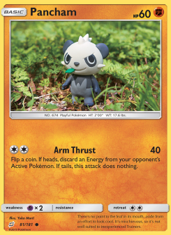 Pancham - pokemon TCG Card