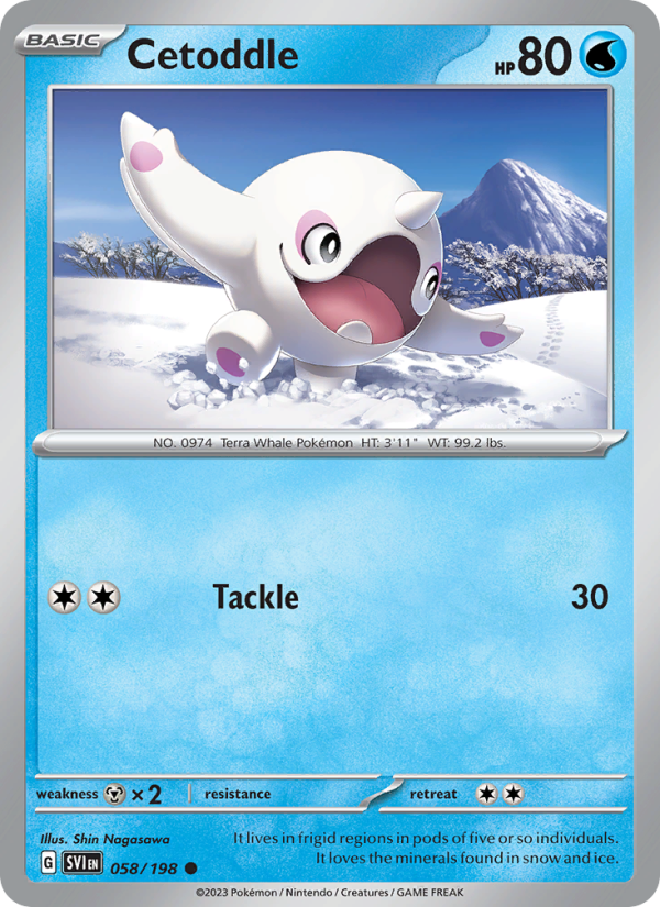 Cetoddle - Pokémon TCG Card