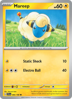 Mareep - pokemon TCG Card