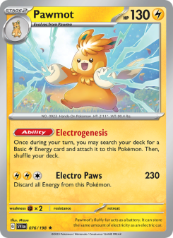 Pawmot - pokemon TCG Card