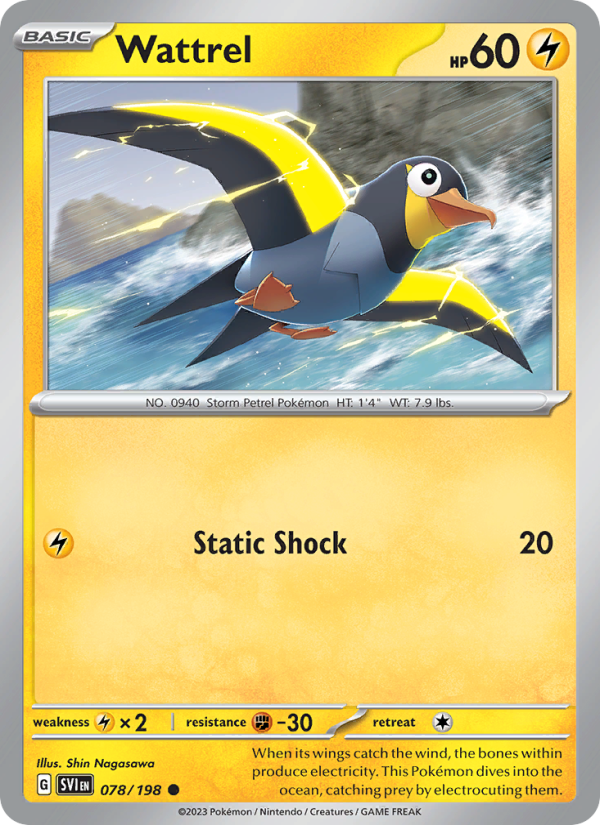 Wattrel - Pokémon TCG Card