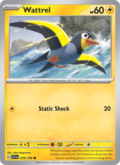 Wattrel - pokemon TCG Card