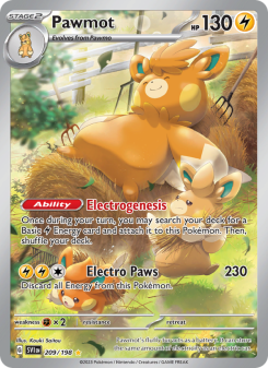 Pawmot - pokemon TCG Card