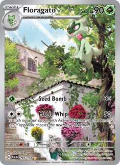 Floragato - pokemon TCG Card