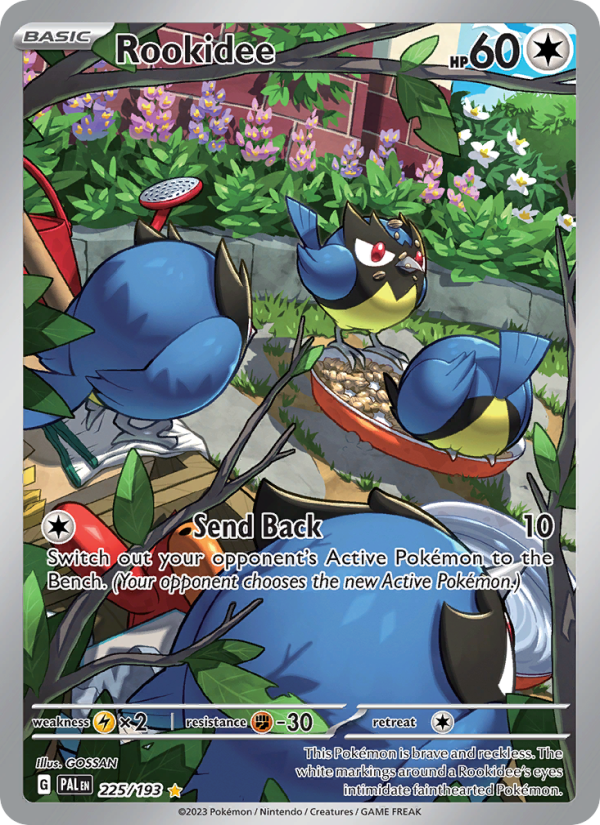 Rookidee - Pokémon TCG Card