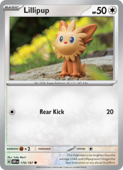 Lillipup - pokemon TCG Card