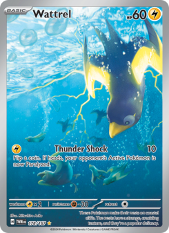 Wattrel - pokemon TCG Card