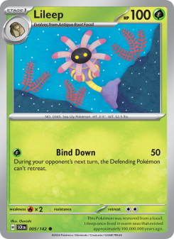 Lileep - pokemon TCG Card