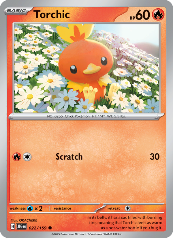 Torchic - Pokémon TCG Card
