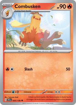 Combusken - pokemon TCG Card