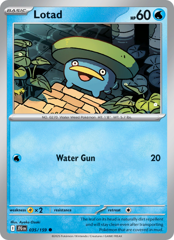 Lotad - Pokémon TCG Card