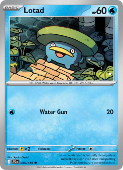 Lotad - pokemon TCG Card