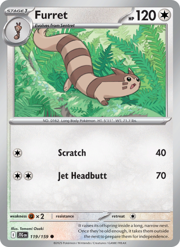 Furret - Pokémon TCG Card