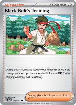 Black Belt's Training - pokemon TCG Card
