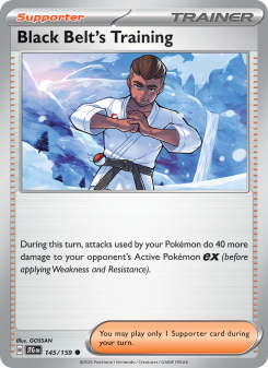 Black Belt's Training - pokemon TCG Card