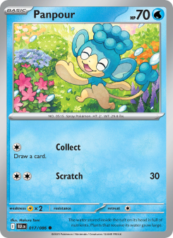 Panpour - pokemon TCG Card