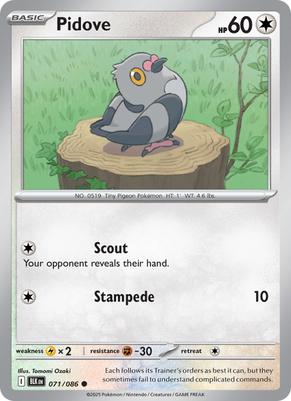 Pidove - Pokémon TCG Card