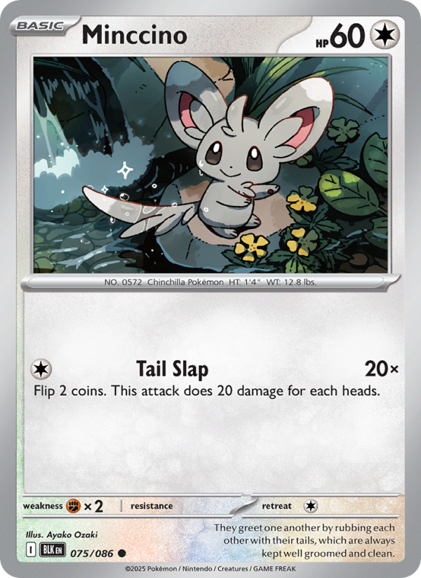 Minccino - Pokémon TCG Card