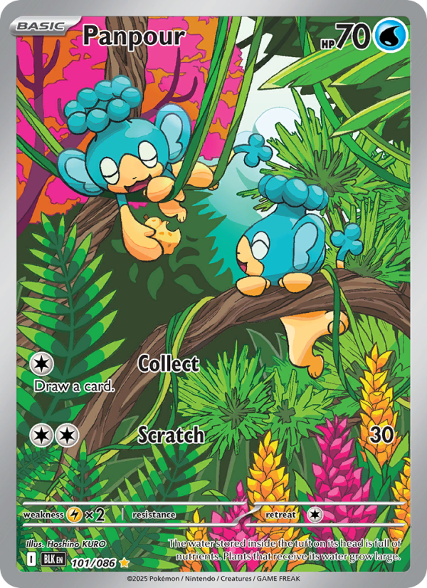 Panpour - Pokémon TCG Card