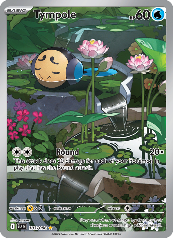 Tympole - Pokémon TCG Card