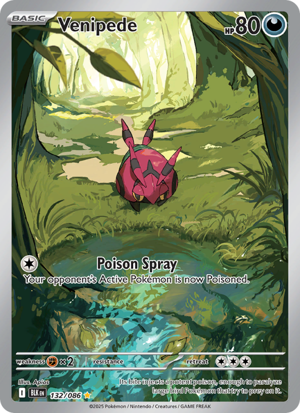 Venipede - Pokémon TCG Card