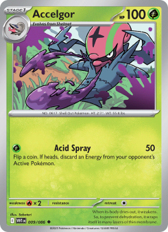 Accelgor - pokemon TCG Card