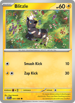 Blitzle - pokemon TCG Card