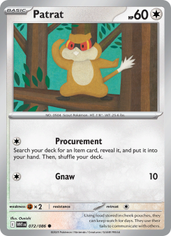 Patrat - pokemon TCG Card