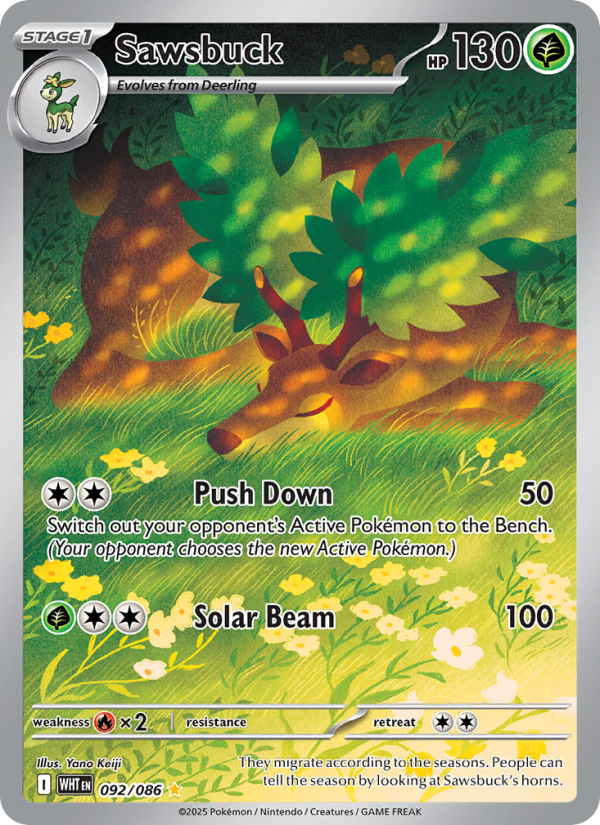 Sawsbuck - Pokémon TCG Card