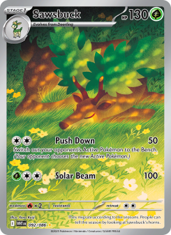 Sawsbuck - pokemon TCG Card