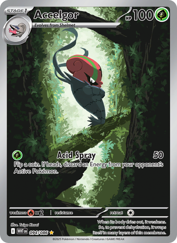 Accelgor - Pokémon TCG Card