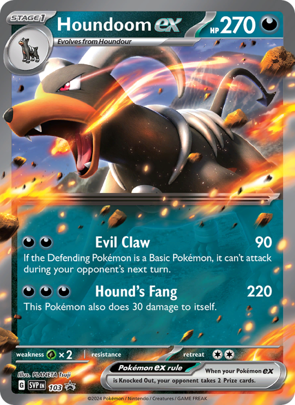 Houndoom ex - Pokémon TCG Card