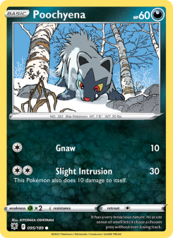 Poochyena - pokemon TCG Card