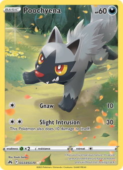 Poochyena - pokemon TCG Card