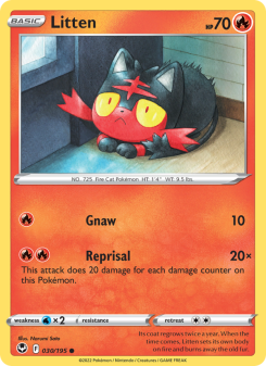 Litten - pokemon TCG Card