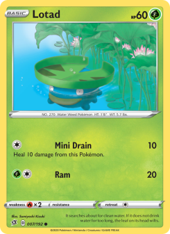 Lotad - pokemon TCG Card