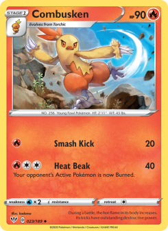 Combusken - pokemon TCG Card