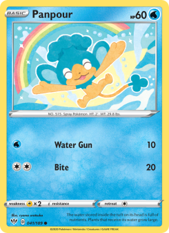 Panpour - pokemon TCG Card