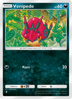 Venipede - pokemon TCG Card