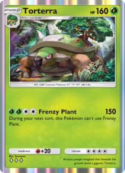 Torterra - pokemon TCG Card