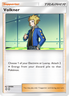 Volkner - pokemon TCG Card