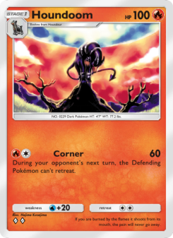 Houndoom - pokemon TCG Card