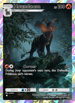 Houndoom - pokemon TCG Card