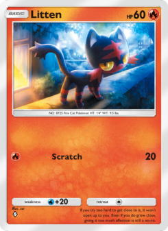 Litten - pokemon TCG Card