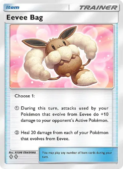 Eevee Bag - pokemon TCG Card