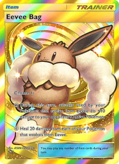 Eevee Bag - pokemon TCG Card