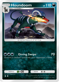 Houndoom - pokemon TCG Card